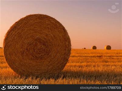 Hay rolls and warm sunset sunlight in the field. Agriculture and rural scenes