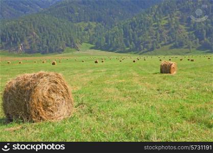 hay rolls in the background of mountains