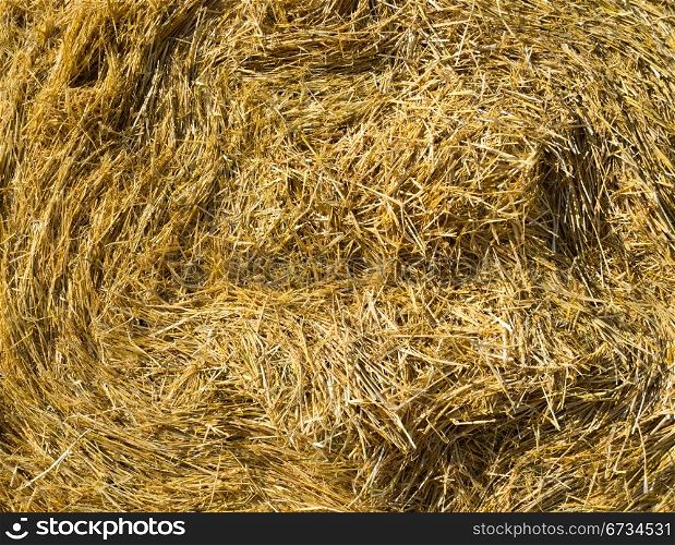 Hay texture. High detailed this a image
