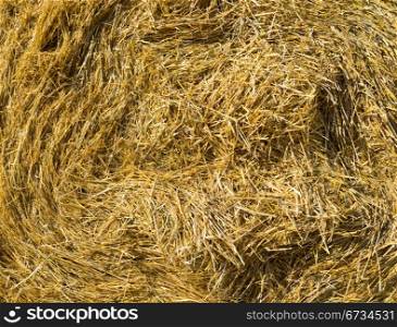 Hay texture. High detailed this a image