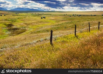 Hays in a green fields.Rural natural landscapes background