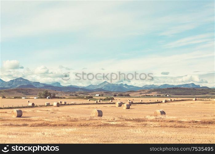 Hays in autumn field at sunrise