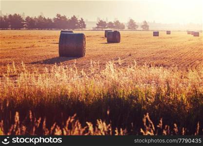 Hays in autumn field at sunrise
