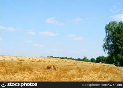Haystack in a wheat field - harvest - blue sky