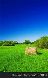 Haystack on a green field