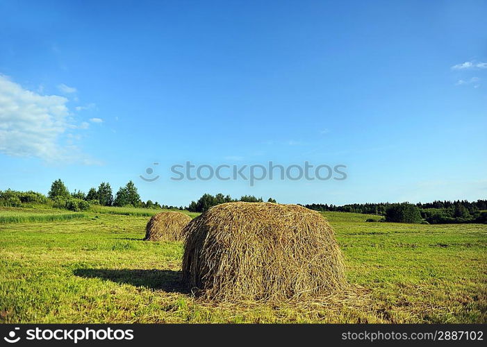 haystack on meadow. summer landscape of countryside