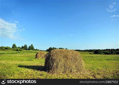haystack on meadow. summer landscape of countryside