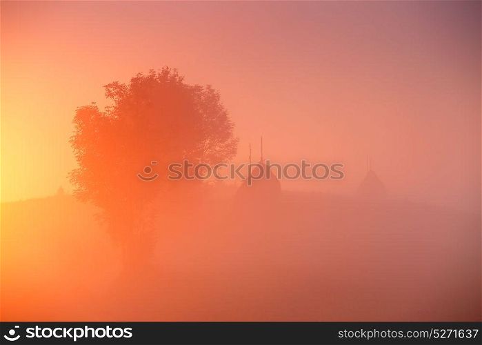 Haystacks and tree in misty autumn morning sunrise. Dawn over mountain fields.
