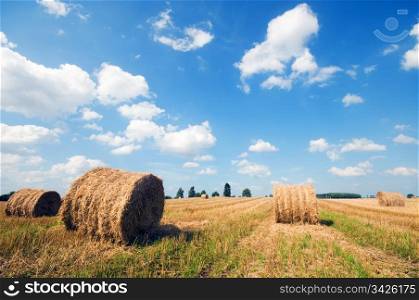 Haystacks in the field. Harvest