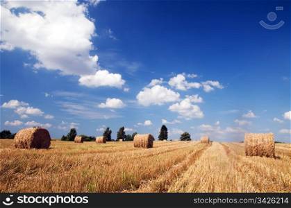 Haystacks in the field. Harvest