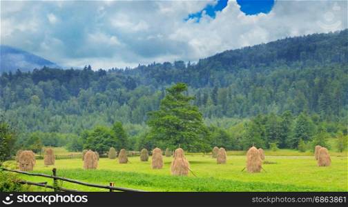Haystacks in the mountain valley of the Carpathian mountains