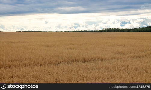 haystacks on the filed in cloudy day