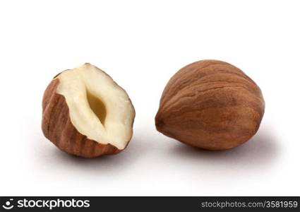 Hazel nut isolated on white background