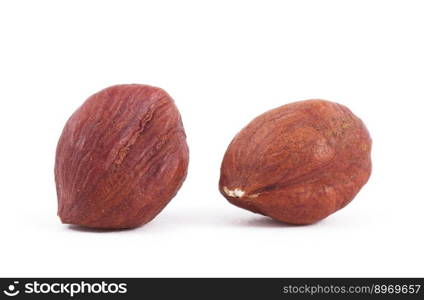 Hazel nut isolated on white background