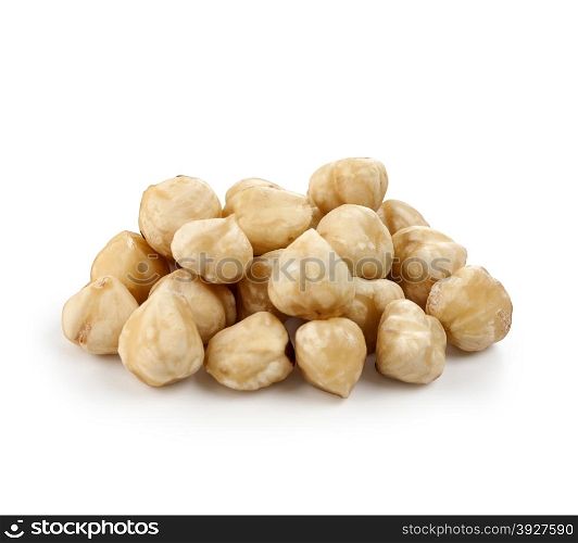 Hazel nut isolated on white background with clipping path