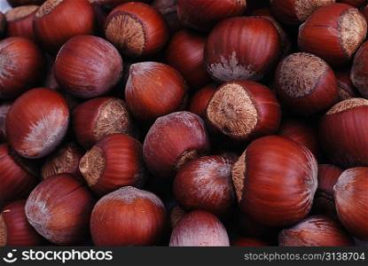 hazelnut in shell, vegetable eating food