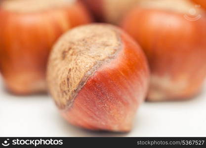 hazelnut on white background