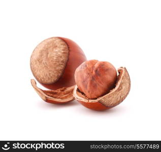 hazelnut or filbert nut isolated on white background cutout