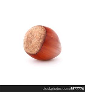 hazelnut or filbert nut isolated on white background cutout
