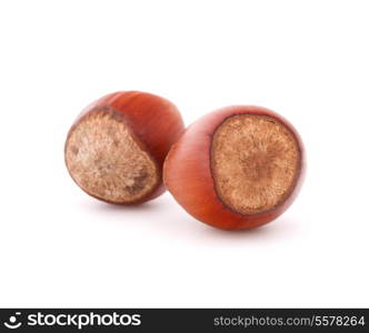 hazelnut or filbert nut isolated on white background cutout