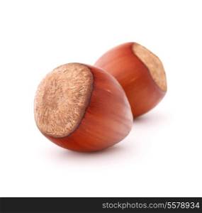 hazelnut or filbert nut isolated on white background cutout