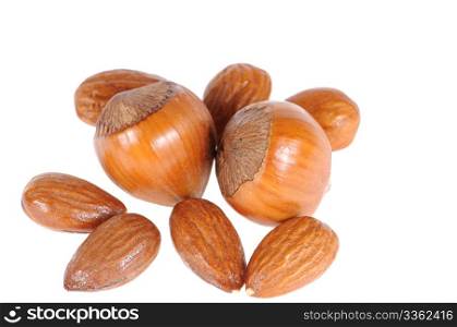 hazelnuts and almond isolated on white background