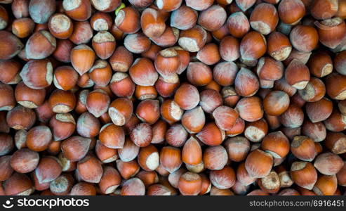 Hazelnuts. Food background. Stack of hazelnuts. Hazelnut background