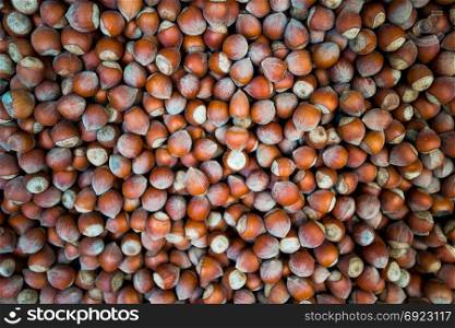 Hazelnuts. Food background. Stack of hazelnuts. Hazelnut background