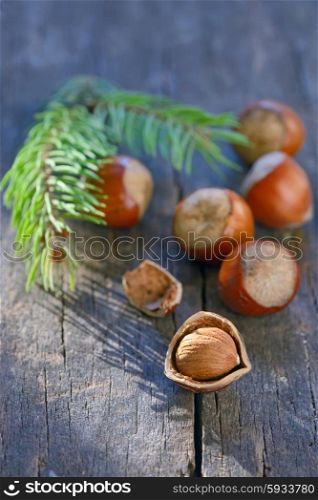 hazelnuts fruit on wooden background