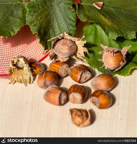 Hazelnuts fruit with beneficial properties