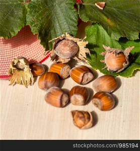 Hazelnuts fruit with beneficial properties