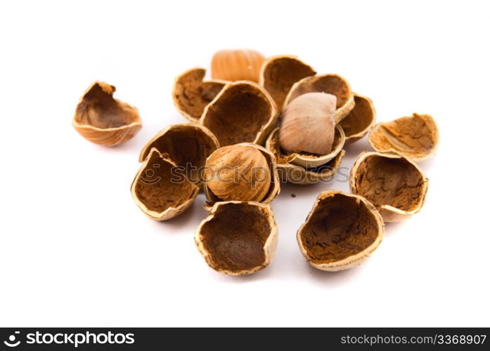 hazelnuts isolated on white