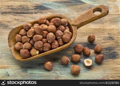 hazelnuts on a rustic wooden scoop against a wood grunge background