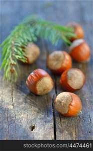 Hazelnuts on old wood table