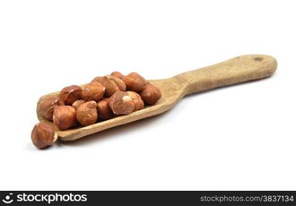 Hazelnuts on shovel