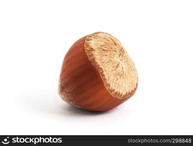 Hazelnuts on white background