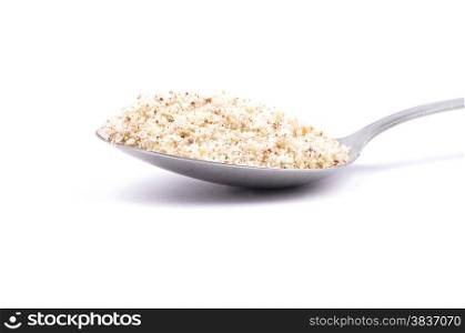 Hazelnuts powdered on spoon