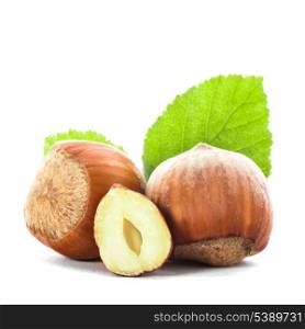 Hazelnuts with shell and green leaf isolated