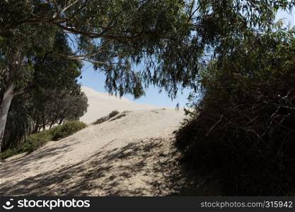 he Huacachina Oasis, desert sand dunes near the city of Ica, Peru