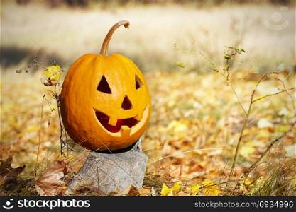Head halloween pumpkin on stump in forest. Copy space