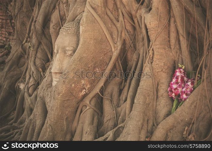 Head of a buddha statue tangled in the roots of a tree at Wat Mahathat, Thailand