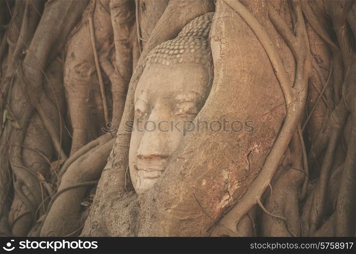 Head of a buddha statue tangled in the roots of a tree at Wat Mahathat, Thailand