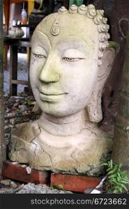 Head of big stone Buddha under tree in wat Klong Prao, Ko Chang island, Thailand