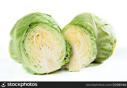 Head of Cabbage