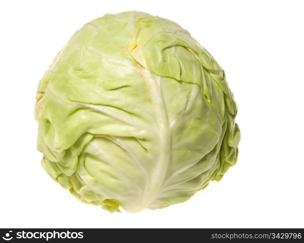 head of cabbage isolated on a white background