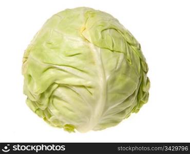 head of cabbage isolated on a white background