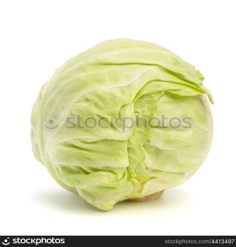 head of cabbage isolated on white background cutout