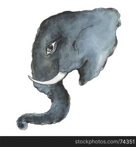 Head of elephant. Hand drawn, hand painted watercolor illustration. White background. Head of elephant.
