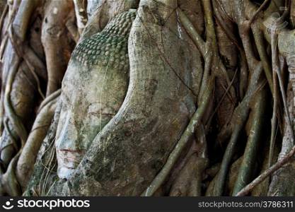 Head of Sandstone Buddha at Ayutthaya.Thailand.