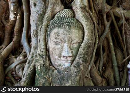Head of Sandstone Buddha at Ayutthaya.Thailand.